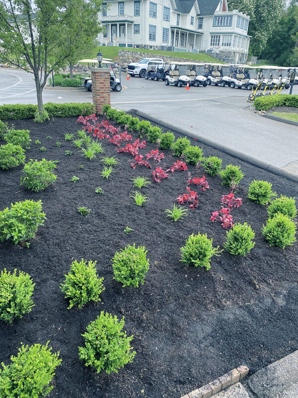 New landscaping at a golf course