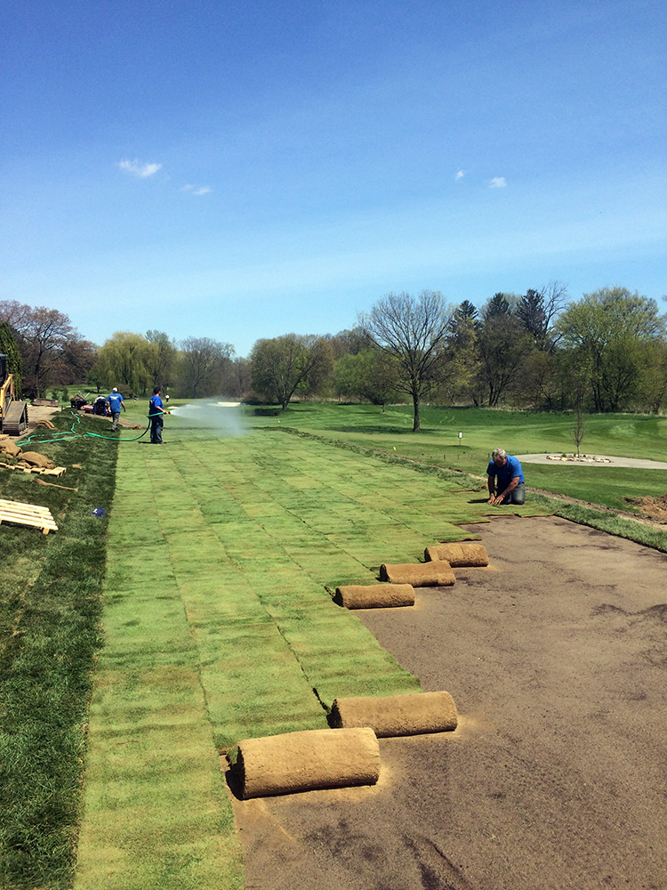 New Golf Course Sod
